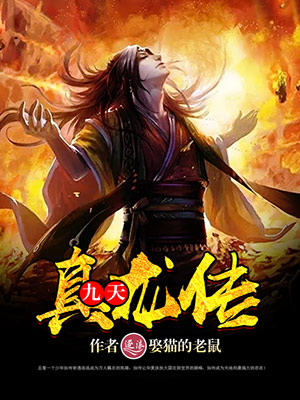 Bìa truyện Cửu Thiên Chân Long Truyện (九天真龙传)