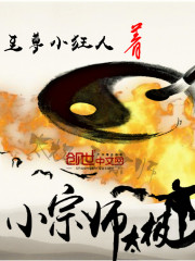 Bìa truyện Thái Cực Tiểu Tông Sư (太极小宗师)