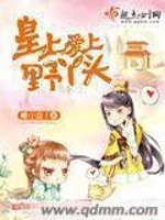 Bìa truyện Hoàng Thượng Ái Thượng Dã Nha Đầu (皇上爱上野丫头)