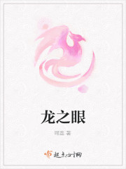 Bìa truyện Long Chi Nhãn (龙之眼)