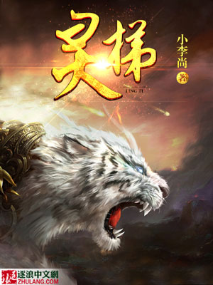 Bìa truyện Linh Thê (灵梯)