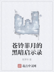 Bìa truyện Thương Linh Phỉ Nguyệt Đích Hắc Ám Khải Kì Lục (苍铃菲月的黑暗启示录)