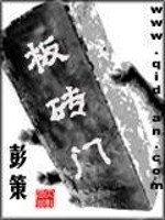 Bìa truyện Bản Chuyên Môn (板砖门)