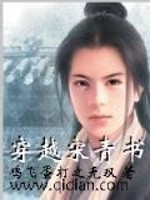 Bìa truyện Xuyên Việt Tống Thanh Thư (穿越宋青书)