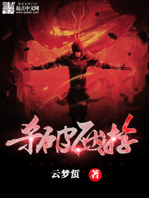 Bìa truyện Sát Phá Tây Du (杀破西游)