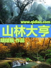 Bìa truyện Sơn Lâm Đại Hanh (山林大亨)