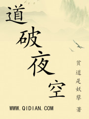 Bìa truyện Đạo Phá Dạ Không (道破夜空)