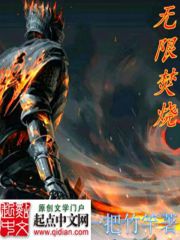 Bìa truyện Phần Thiêu Vô Hạn (焚烧无限)