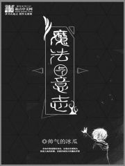 Bìa truyện Ma Pháp Dữ Ý Chí (魔法与意志)