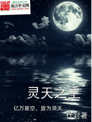 Bìa truyện Linh Thiên Chi Chủ (灵天之主)