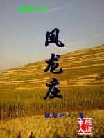 Bìa truyện Phượng Long Trang (凤龙庄)