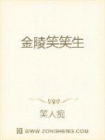 Bìa truyện Kim Lăng Tiếu Tiếu Sinh (金陵笑笑生)