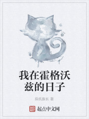 Bìa truyện Ngã Tại Hoắc Cách Ốc Tư Đích Nhật Tử (我在霍格沃兹的日子)