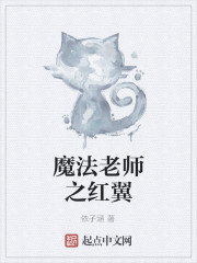 Bìa truyện Ma Pháp Lão Sư Chi Hồng Dực (魔法老师之红翼)