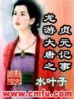 Bìa truyện Long Du Đại Đường Chi Trinh Nguyên Kí Sự (龙游大唐之贞元记事)