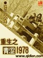 Bìa truyện Trọng Sinh Chi Thanh Sáp 1978 (重生之青涩1978)