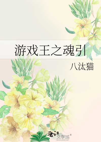 Bìa truyện Du Hí Vương Chi Hồn Dẫn (游戏王之魂引)