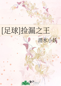 Bìa truyện Túc Cầu Kiểm Lậu Chi Vương ([足球]捡漏之王)