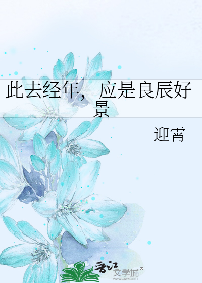 Bìa truyện Thử Khứ Kinh Niên Ứng Thị Lương Thần Hảo Cảnh (此去经年，应是良辰好景)