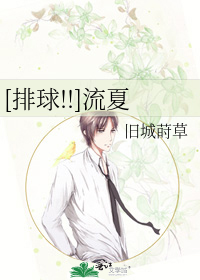 Bìa truyện Bài Cầu Lưu Hạ ([排球!!]流夏)