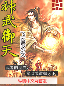 Bìa truyện Thần Vũ Ngự Thiên (神武御天)