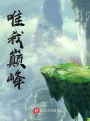 Bìa truyện Duy Ngã Điên Phong (唯我巅峰)