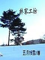 Bìa truyện Lâm Gia Công Phường (林家工坊)