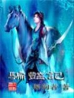 Bìa truyện Phiến Diễm Kí (骗艳记)