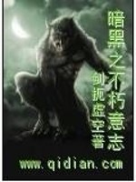Bìa truyện Ám Hắc Chi Bất Hủ Ý Chí (暗黑之不朽意志)