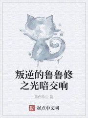Bìa truyện Bạn Nghịch Đích Lỗ Lỗ Tu Chi Quang Ám Giao Hưởng (叛逆的鲁鲁修之光暗交响)