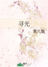 Bìa truyện Tầm Quang (寻光)