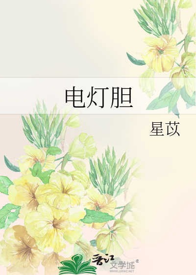 Bìa truyện Điện Đăng Đảm (电灯胆)
