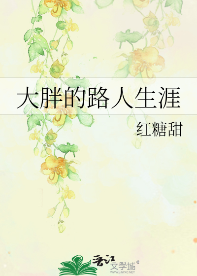 Bìa truyện Đại Bàn Đích Lộ Nhân Sinh Nhai (大胖的路人生涯)