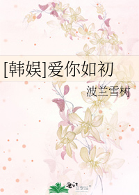 Bìa truyện Hàn Ngu Ái Nhĩ Như Sơ ([韩娱]爱你如初)