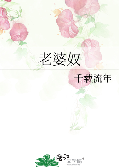 Bìa truyện Lão Bà Nô (老婆奴)