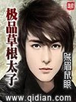 Bìa truyện Cực Phẩm Thảo Căn Thái Tử (极品草根太子)