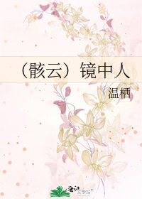 Bìa truyện Hài Vân Kính Trung Nhân (（骸云）镜中人)