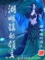 Bìa truyện Hồ Bạn Trấn Đích Lĩnh Chủ (湖畔镇的领主)
