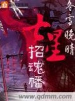 Bìa truyện Thất Tinh Chiêu Hồn Phiên (七星招魂幡)