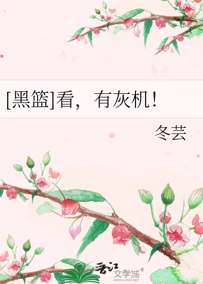 Bìa truyện Hắc Lam Khán Hữu Hôi Cơ ([黑篮]看，有灰机！)