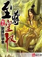 Bìa truyện Chí Tôn Hoàng Quyền (至尊皇权)
