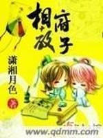 Bìa truyện Tương Phủ Giáo Tử (相府教子)