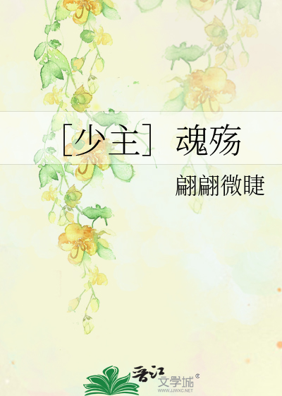Bìa truyện Thiếu Chủ Hồn Thương (［少主］魂殇)