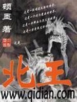 Bìa truyện Bắc Vương (北王)