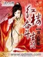 Bìa truyện Hồng Lâu Phấn Đấu Sinh Nhai (红楼奋斗生涯)
