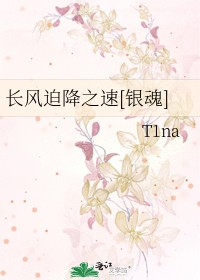 Bìa truyện Trường Phong Bách Giáng Chi Tốc Ngân Hồn (长风迫降之速[银魂])