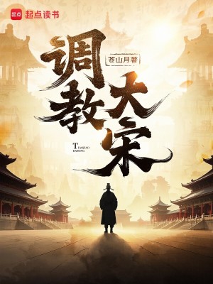 Bìa truyện Điều Giáo Đại Tống (调教大宋)