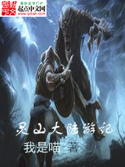 Bìa truyện Linh Sơn Đại Lục Du Kí (灵山大陆游记)