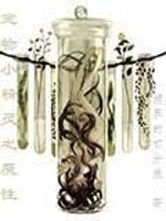 Bìa truyện Sủng Vật Tiểu Tinh Linh Chi Ma Tính (宠物小精灵之魔性)