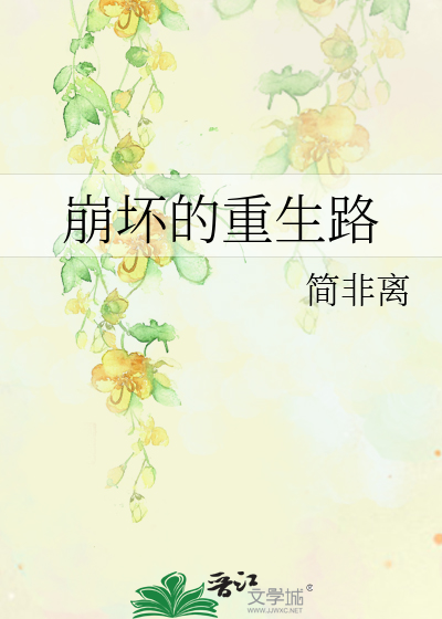 Bìa truyện Băng Phôi Đích Trọng Sinh Lộ (崩坏的重生路)